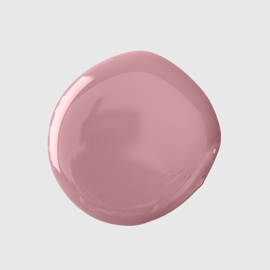 Amorzinho - Baby Color Collection